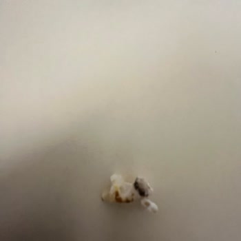 A101 Burch Mısır Ve Pirinç Patlağı Toprak Aromalı (! )