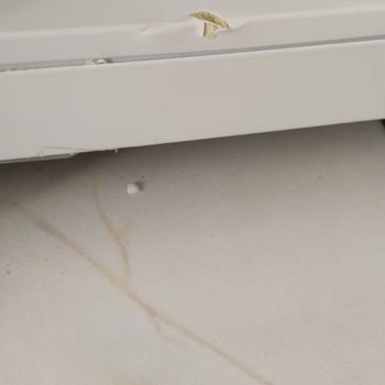 Bexel Diye Bir Marka Ve Üreticisinin Umursamazlığı