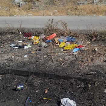 Edremit Belediyesi Belediye Başkanı Ve Belediyesi Kuruluşları