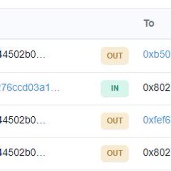 Trust Wallet Cüzdanının Korsan (lar) Tarafından Boşaltılması