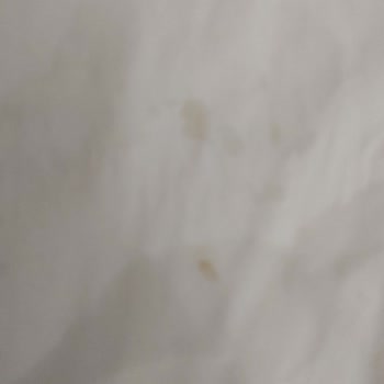 Schafer Ütüm Alttan Su Akıtıyor Kızmıyor