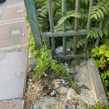Kağıthane Belediyesi Kirli Sokaklar Ve Yollar
