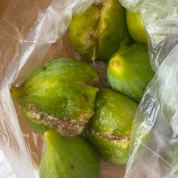 Migros Sanal Market Memnuniyetsizliği