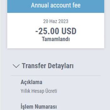 Payoneer Hesaplarımızdan Para Çekiyor