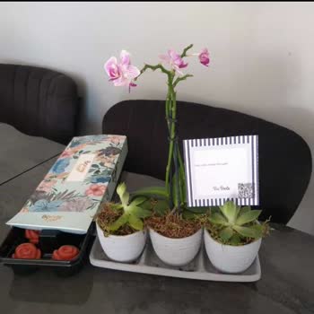 Çiçek Sepeti Şikayeti