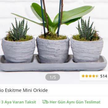 Çiçek Sepeti Şikayeti