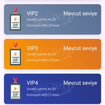Mall Of America İnternet Üzerinden Elektronik Oyun İle Yanıltma