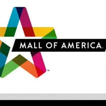 Mall Of America İnternet Üzerinden Elektronik Oyun İle Yanıltma