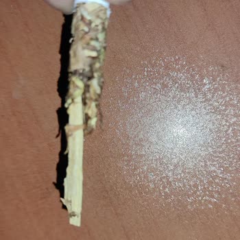 Sürekli Bütün Parliament Sigaralarında Çıkan Ağaç Parçaları