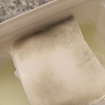 BİM Aknaz Tava Peyniri Küf Oluşması