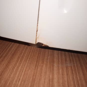 Arçelik Bulaşık Makinesi Çürüyor