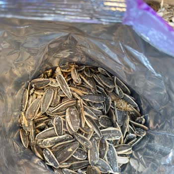 Amigo Gıdanın İçinden Bilinmeyen Bir Cisim Çıktı