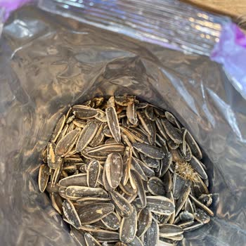 Amigo Gıdanın İçinden Bilinmeyen Bir Cisim Çıktı