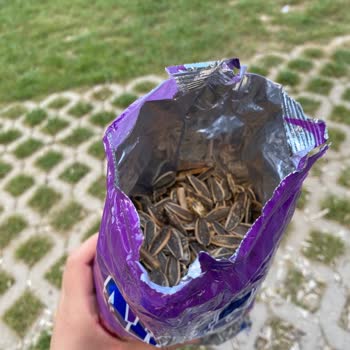 Amigo Gıdanın İçinden Bilinmeyen Bir Cisim Çıktı