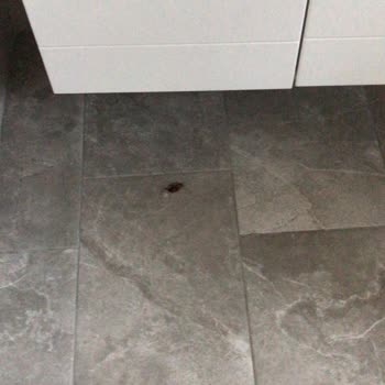 Tatilde Kirala %100 Para İadesi Diyen Ama Böcekli Evde Para İadesi Yapılmadı