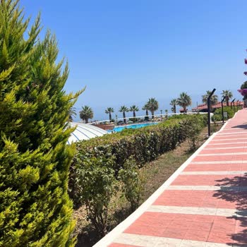 Assos Dove Hotel Otelin Konumu Güzel Ancak Otopark Sorunu Yaşadık