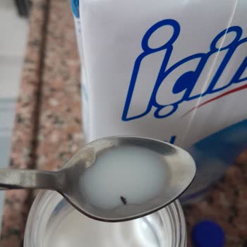 İçim Sütün İçinden Sinek Çıktı