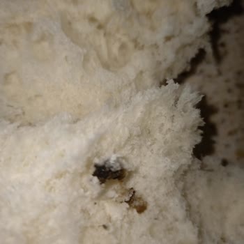 Şehzade Market Ekmeğin İçinden Çıkan