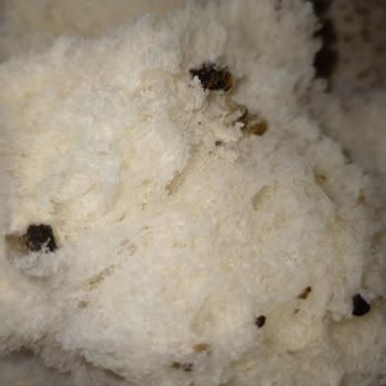 Şehzade Market Ekmeğin İçinden Çıkan