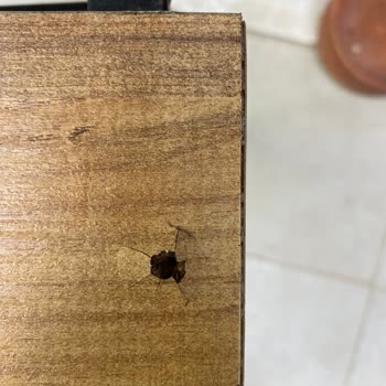 Çok Kalitesiz, Sorunlu Weblonya Masa Takımı İade