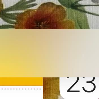 iPhone KVKK Bostancı Oturduğu Yerden Para Kazanıyor.