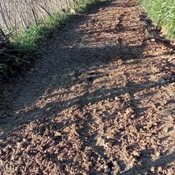 İçişleri Bakanlığı Yol Vermiyorlar, Yol Yapmıyorlar!