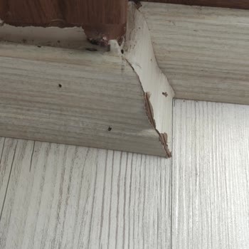 Bauhaus Parke Döşettim Ama Deforme Oldu