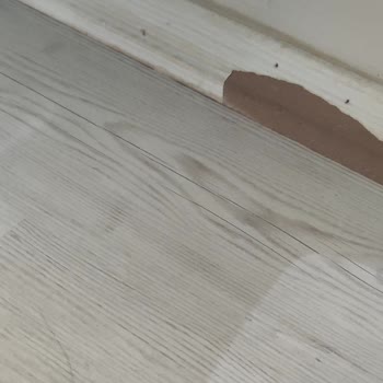 Bauhaus Parke Döşettim Ama Deforme Oldu