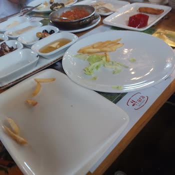 Sivas Hara Restoran Sinekten Geçilmiyor