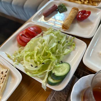 Hara Restoran (Sivas) Sinek Ve İlgisizlik