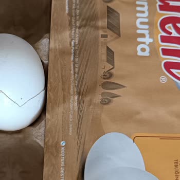 Türem Yumurta (Yama Yapılan Yumurta)