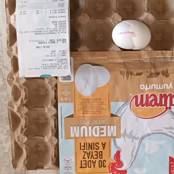 Türem Yumurta (Yama Yapılan Yumurta)