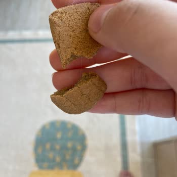 Hünnap Doğal Yaşam Ürünleri Bebek Bisküvisinden Kıl Çıktı