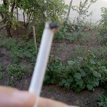Marlboro Edge Blue