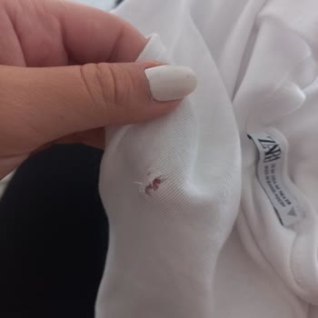 Zara Tshirt Yırtık Çıktı