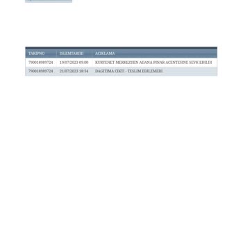 Adana Kuryenet Kargomu Getirmiyor