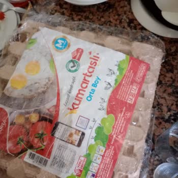 A101'den Alınan Yumurtadan Çıkan Kurtlar