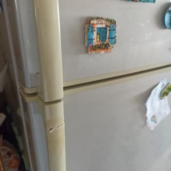 Arçelik 2194 Nf Buzdolabı Alt Kapak Kolu