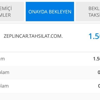 Zeplin Car Rental Provizyon Bloke Kaldırılması