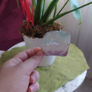 Danone Tikveşli Jelatin Parçaları Çıktı.