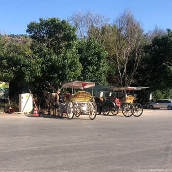 Selçuk Belediyesi İzmir Sıcakta Faytonların Çalışması