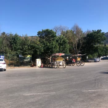 Selçuk Belediyesi İzmir Sıcakta Faytonların Çalışması