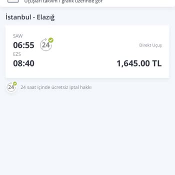 Pegasus Yan Yana Bilet Kesilmiyor