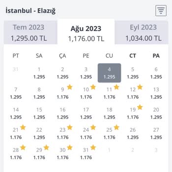 Pegasus Yan Yana Bilet Kesilmiyor