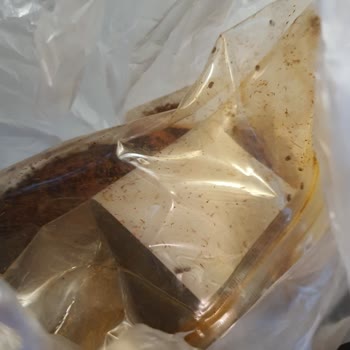 Baharat Dükkanı Toz Biber Böceklendi