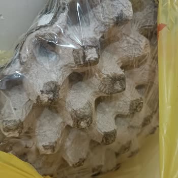 Şok Marketler Bir Müşteri Daha Kaybetti