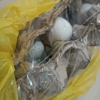 Şok Marketler Bir Müşteri Daha Kaybetti