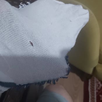 LCW Mağazalarında Satılan Çoraplar