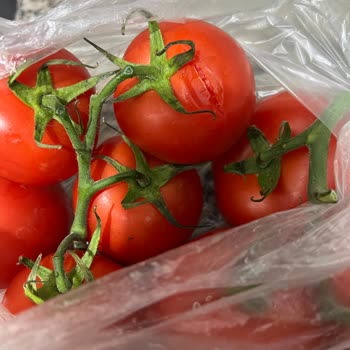 Migros Çürük Ve SKT'si Geçmiş Ürün