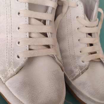 U.S. Polo Assn. Us. Polo Renk Atma